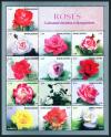 Roses - Cultivated Varieties in Bangladesh - Click here to view the large size image.