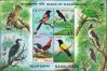 #BD199411MS - Bangladesh 1994 Birds of Bangladesh Souvenir Sheet MNH   2.99 US$ - Click here to view the large size image.