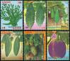 #BD199418 - Bangladesh 1994 Vegetables of Bangladesh 6v Stamps MNH   2.00 US$ - Click here to view the large size image.