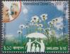 #BGD201312 - International Ozone Day 2013 MNH 1v   0.25 US$ - Click here to view the large size image.