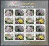 #BGD201404SH - Flowers of Bangladesh Sheet (16 Stamps) MNH 2014   6.00 US$ - Click here to view the large size image.