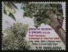 #BD200606 - Bangladesh 2006 Tree Plantation Campaign & Tree Fair 1v Stamps MNH   0.40 US$