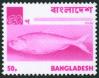 #BD197302-7 - Bangladesh 1973 Stamp 50p Hilsa Fish - Single MNH   1.25 US$ - Click here to view the large size image.