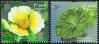 #SGP201203 - Singapore 2012 Pond Life - Yellow Burhead Flower & Water Lettuce 2v Stamps MNH Flora   0.74 US$ - Click here to view the large size image.