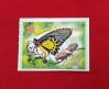 #SG201004A - Singapore 2010 Butterfly - Common Birdwing 1v Self Adhesive Stamps MNH - Insects   0.60 US$ - Click here to view the large size image.