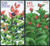 #ISL200713 - Iceland 2007 Wild Berries 2v Stamps MNH - Fruits   3.49 US$ - Click here to view the large size image.