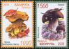 #BEL200812 - Belarus 2008 Mushrooms 2v Stamps MNH   1.49 US$ - Click here to view the large size image.