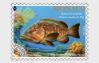 #MCO201810 - Monaco 2018 Fish Poissons Pesce Fisch Grumper Merou Pescado 1v Stamps MNH   1.49 US$ - Click here to view the large size image.