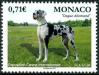 #MCO201715 - Monaco 2017 International Dog Show - Dogue Allemand 1v Stamps MNH Pets   1.09 US$ - Click here to view the large size image.