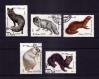 #USR198001 - Ussr 1980 Fur Animals 5v Stamps Used   1.20 US$ - Click here to view the large size image.