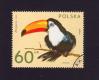 #POL197201 - Poland 1972 Zoo Animals - 60 Gr Toco Toucan (Ramphastos Toco) Stamps Used   0.24 US$ - Click here to view the large size image.