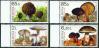 #MDA200704 - Moldova 2007 Mushrooms - Endangered Species 4v Stamps MNH   6.49 US$ - Click here to view the large size image.
