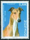 #MCO200816 - Monaco 2008 International Dog Show - Greyhound 1v Stamps MNH   1.10 US$ - Click here to view the large size image.