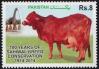 #PAK201407 - Pakistan 2014 Pakistan of 100 Years of Sahiwal Breed Conservation (1914-2014) 1v Stamps MNH - Cow   0.30 US$ - Click here to view the large size image.
