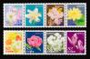 #JPN201401 - Japan 2014 Flowers 'omotenashi' Hospitality 8v Stamps MNH - Flora - Rose   5.99 US$ - Click here to view the large size image.