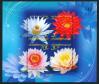 #THA200815MS - Thailand 2008 Flower M/S MNH   0.99 US$ - Click here to view the large size image.