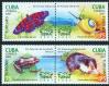 #CUB200706 - Cuba 2007 Turnet - Sixth Nature Tourism Show Baracoa 4v Stamps MNH - Butterflies - Snail - Frog - Shell - Corals   3.99 US$ - Click here to view the large size image.