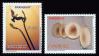 #PRY200707 - Paraguay 2007 50 Years of Higher Institute of Fine Arts (Isba) 2v Stamps MNH   2.70 US$