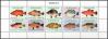#SUR201304 - Marine Life - Fish Mini Sheet MNH 2013   20.00 US$ - Click here to view the large size image.