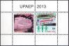#SUR201307 - America Upaep Mini Sheet MNH 2013   12.00 US$ - Click here to view the large size image.