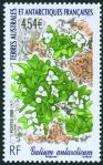 #ATF200811 - French Antarctic Territory 2008 Flowers 1v Stamps MNH - Flora   6.99 US$ - Click here to view the large size image.