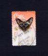 #AUS201502A - Australia 2015 Cats - 70c Chara 1 Stamps Used   0.24 US$ - Click here to view the large size image.
